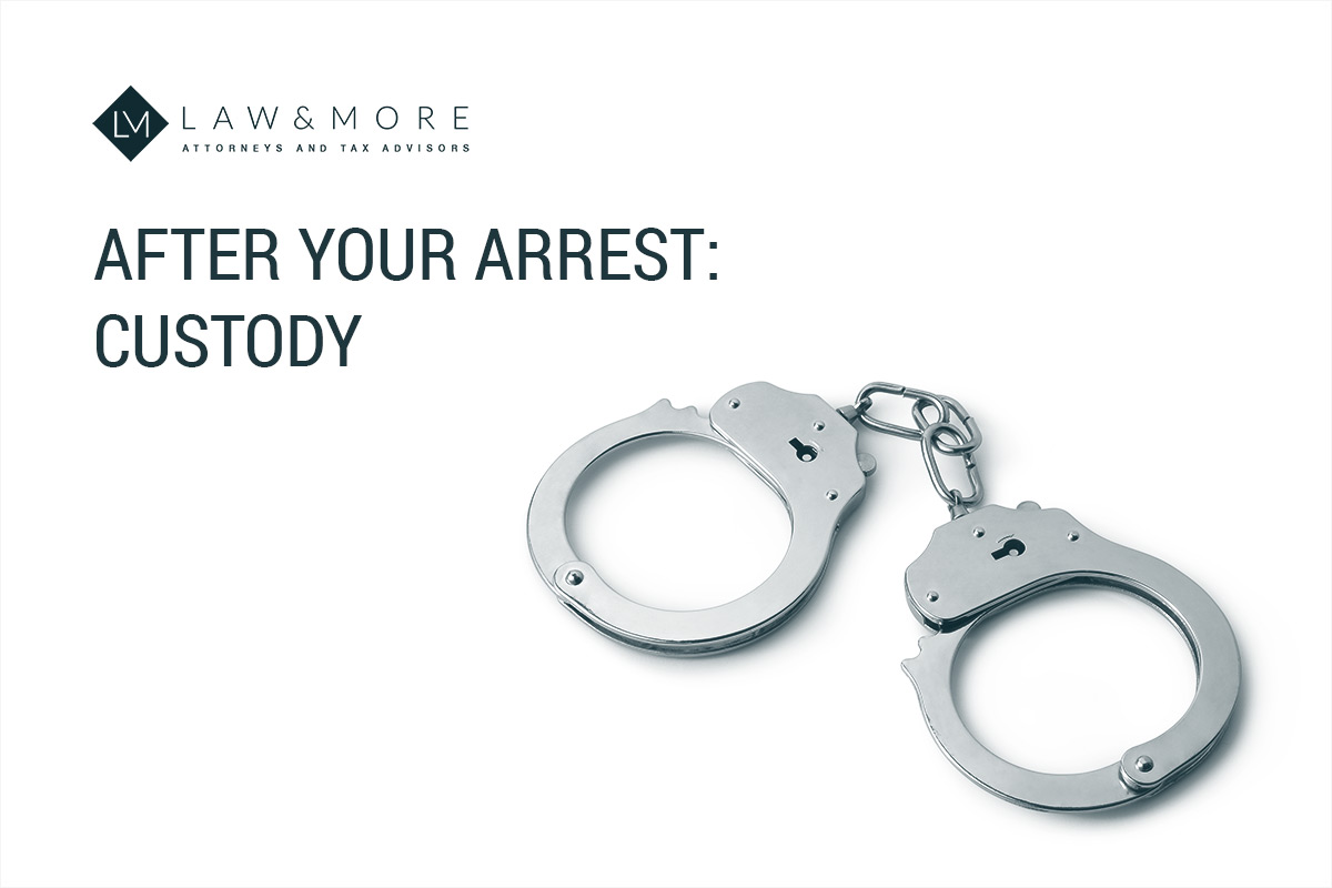After your arrest: custody