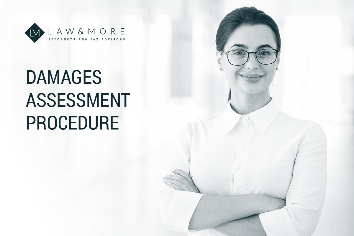 Damages Assessment Procedure